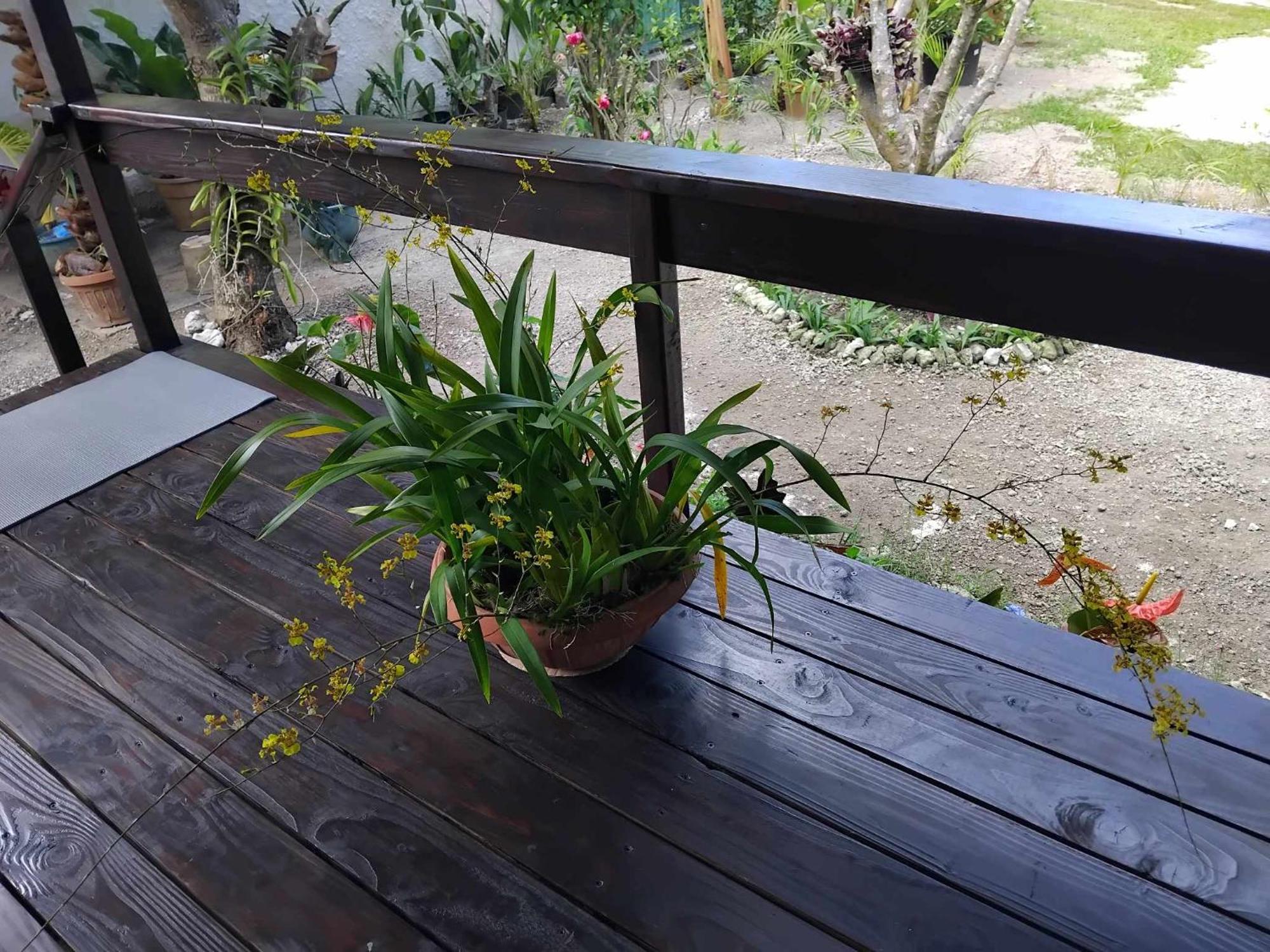 Fare Anuhe Сasa de vacaciones Bora Bora